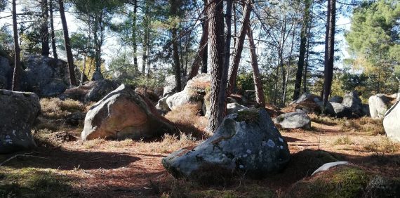Randonnée découverte : la forêt de Fontainebleau  (2 jours et 2 nuits)