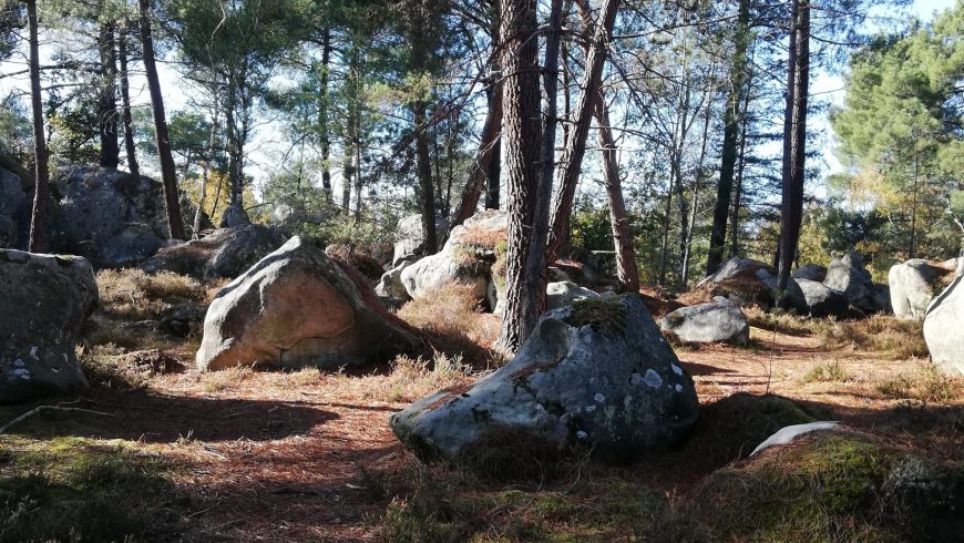 Randonnée découverte la forêt de Fontainebleau (2 jours et 2 nuits)